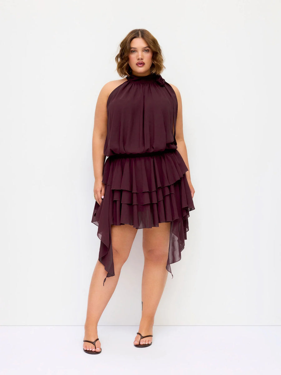Celeste Chiffon Mini Dress